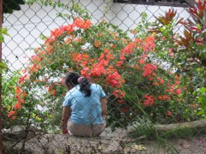 Woman sitting by flowers at Carolina