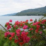 View looking south over Lake Toba