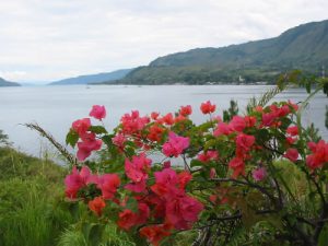 View looking south over Lake Toba