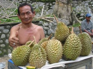 Bukit Lawang - durian