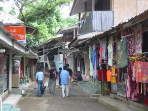 Bukit Lawang - village