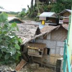Bukit Lawang - much