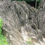 Bukit Lawang - rugged