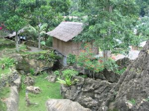 Bukit Lawang - Bamboo