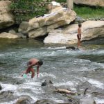 Bukit Lawang - Bohdrok