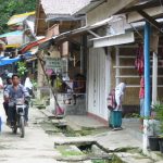 Bukit Lawang - village