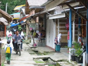 Bukit Lawang - village