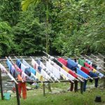 Bukit Lawang -