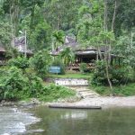 Bukit Lawang - Pongo Resort