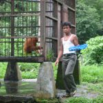 Bukit Lawang -