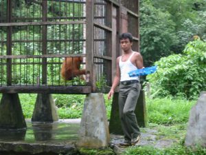 Bukit Lawang -