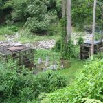 Bukit Lawang -