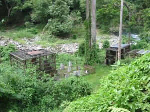 Bukit Lawang -