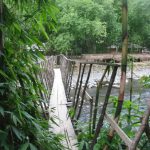 Bukit Lawang -