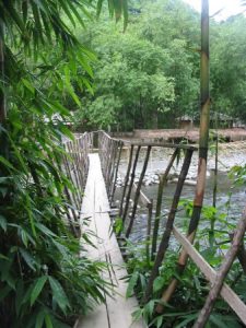 Bukit Lawang -