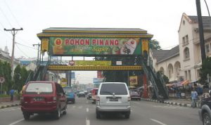 Medan city - overpass