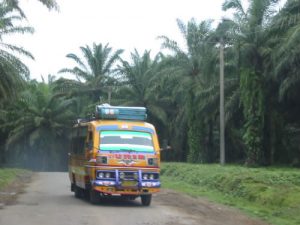 Along the rural roads of Sumatra