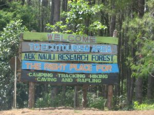 Along the rural roads of Sumatra