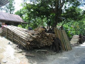 Along the rural roads of Sumatra