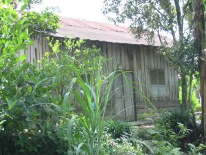 Along the rural roads of Sumatra