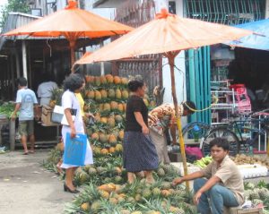 Along the rural roads of Sumatra