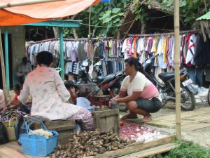 Along the rural roads of Sumatra