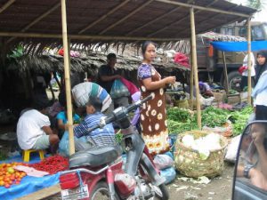 Along the rural roads of Sumatra