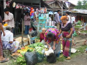 Along the rural roads of Sumatra