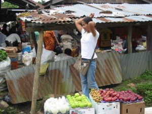 Along the rural roads of Sumatra