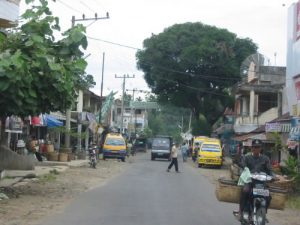 Along the rural roads of Sumatra