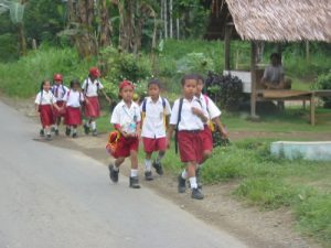 Along the rural roads of Sumatra