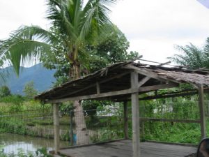 Along the rural roads of Sumatra