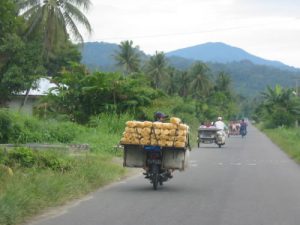 Along the rural roads of Sumatra