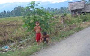 Along the rural roads of Sumatra