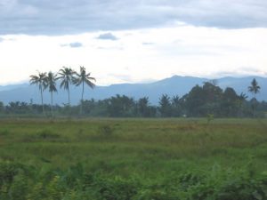 Along the rural roads of Sumatra