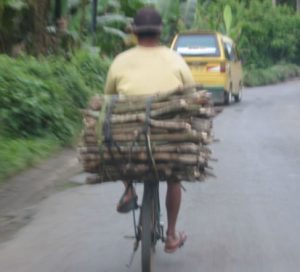 Along the rural roads of Sumatra