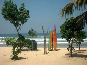 Indonesia - surfboards on