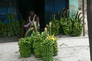 Chennai - banana vendor;  a great number of Indians earn