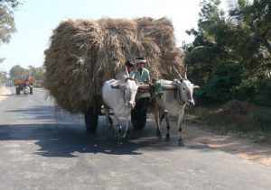 Fodder on the way to Hampi