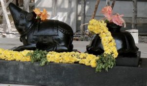 Pondicherry - Hundu sacred statues.