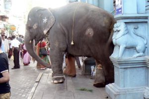 Pondicherry on the coast of the Indian Ocean in southeast