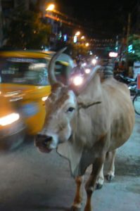 Vijayawada - evening shopper.