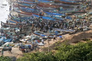 Kanyakumari - morning fishermen return with their catch to sell.