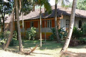 House and palm trees at Palolem Beach