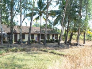 House and palm trees at Palolem Beach