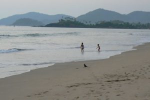 Palolem beach offers a quiet life