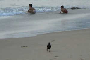 Children and the sea