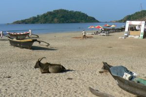 Palolem Beach in southern Goa offers a quiet life.