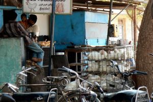 Poultry shop: chickens wait for the