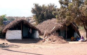 Thatch-roofed shelters